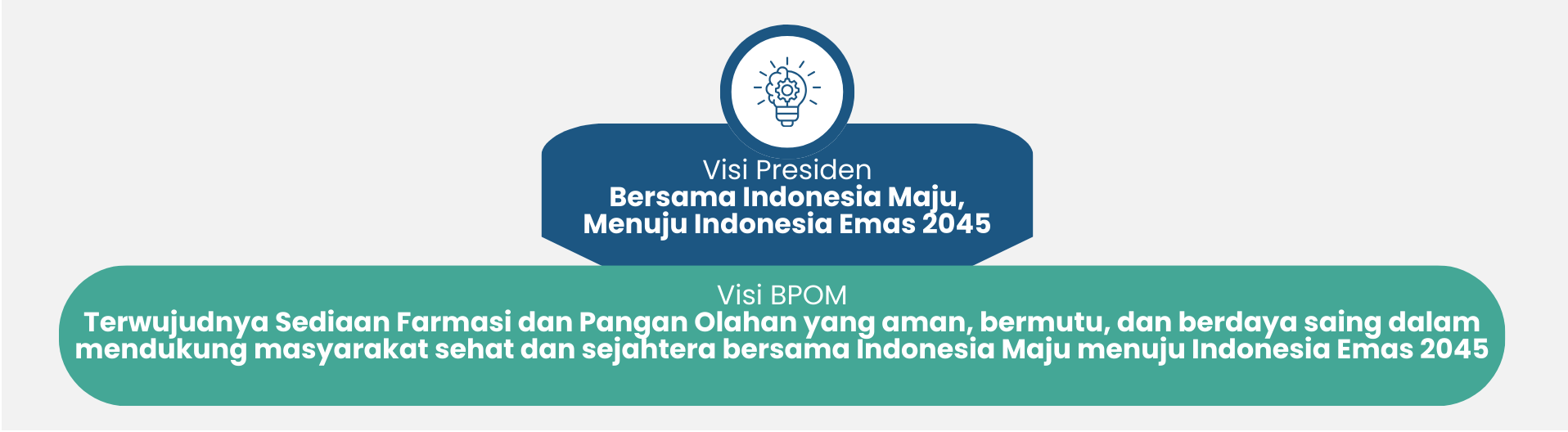visi